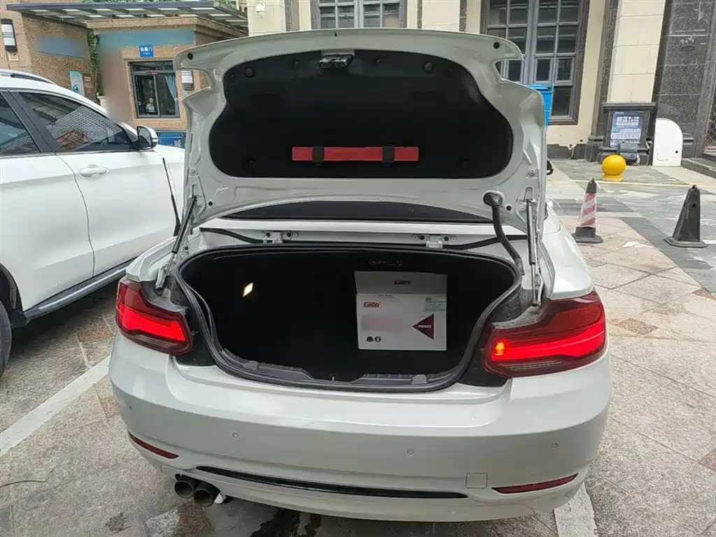 BMW 2 Series (Import) 2019 225i Convertible Coupe Sport Design Package фото 19
