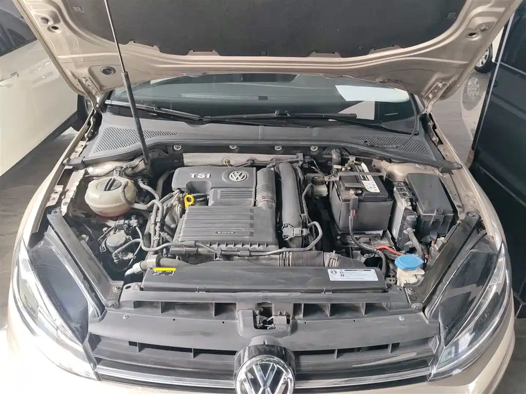 Volkswagen Golf 2019 200TSI DSG Comfort Progressive China VI фото 20