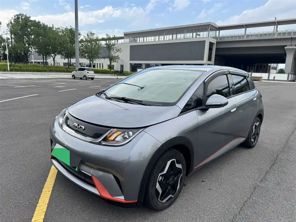 BYD Dolphin 2021 405km Freedom Edition
