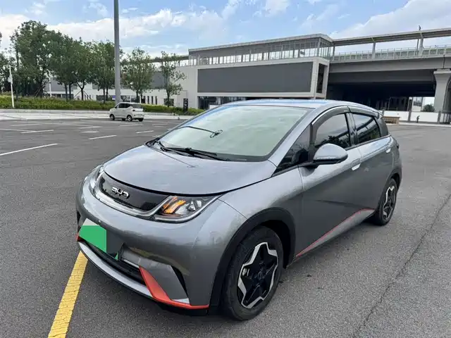 BYD Dolphin 2021 405km Freedom Edition