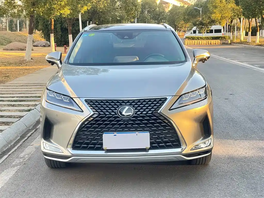 Lexus RX 2020 300 4WD Elegance Edition China VI фото 3