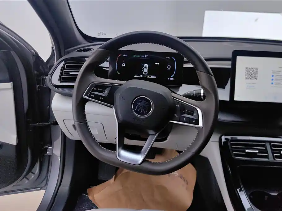 BYD Qin PLUS 2024 Glory Edition DM-i 55KM Leading фото 15