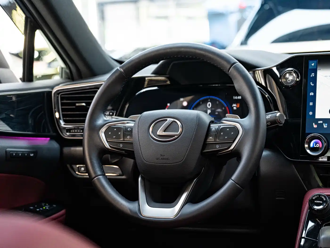 LEXUS NX