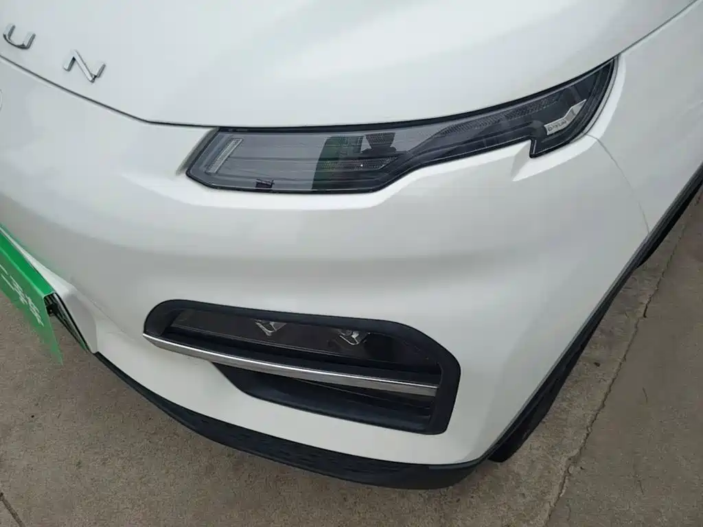Dayun Yuehu 2020 2021 32.85kWh 2WD Elf Edition