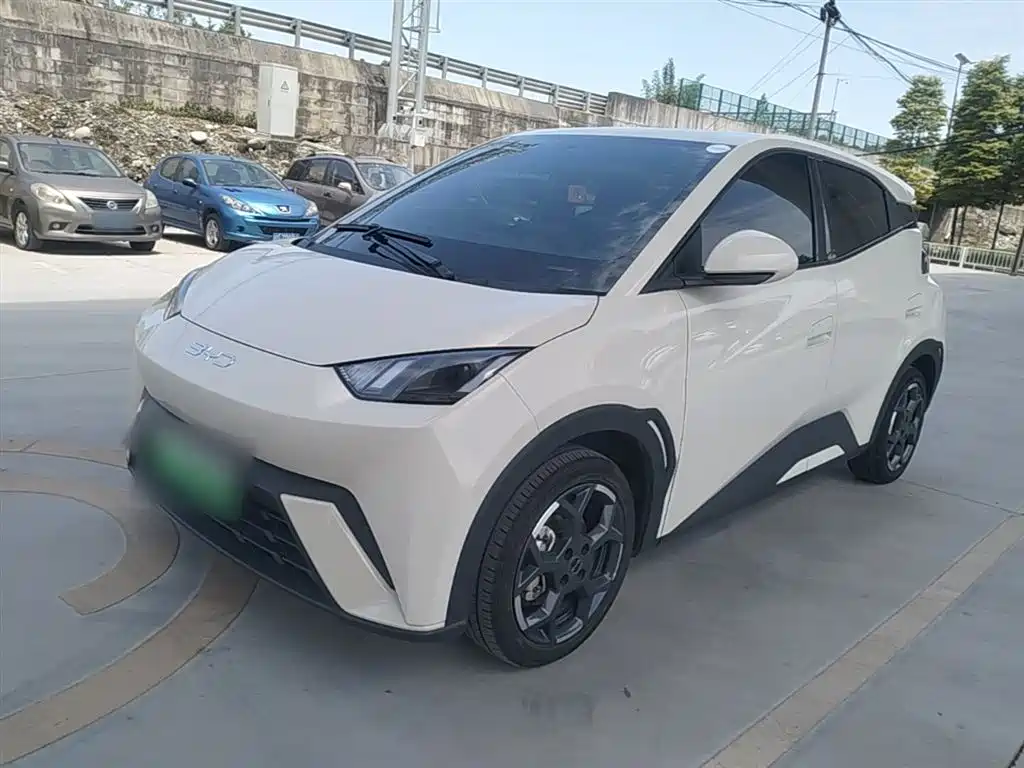 BYD Seagull 2025 305km Freedom