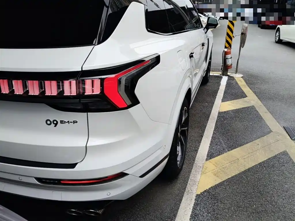 Lynk & Co 09 EM-P 2021 2.0T PHEV Halo 6-seater фото 8