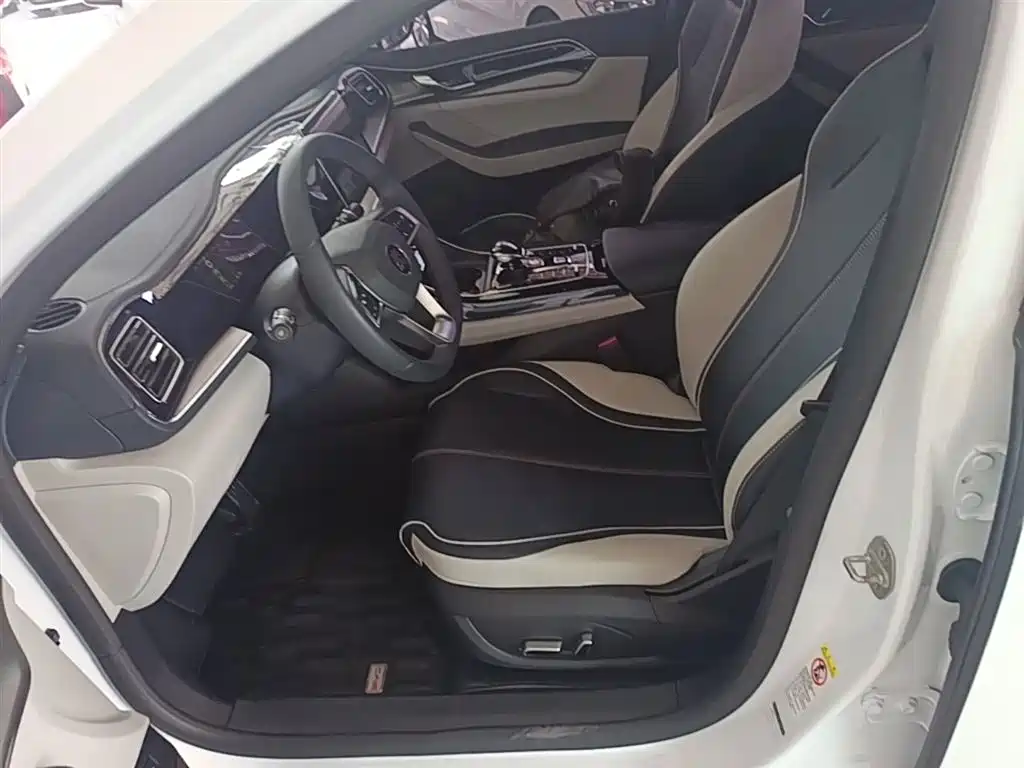 BYD Qin PLUS 2021 DM-i 55KM Premium фото 15