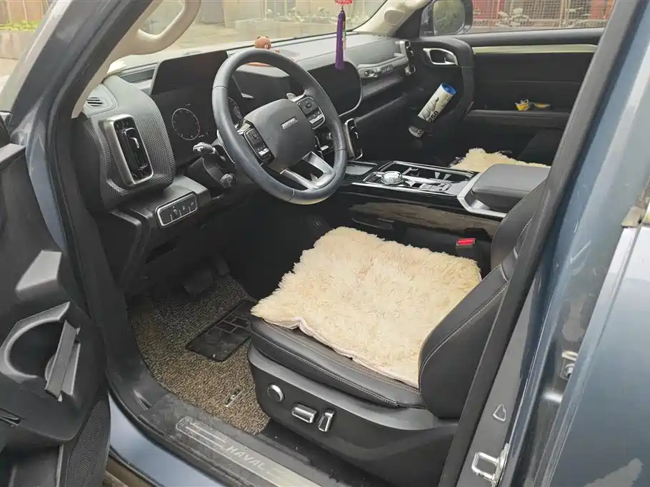 Haval Big Dog 2021 1.5T DCT 2WD Border Collie - Wangcai Edition фото 9