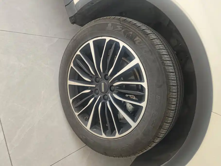 WEY Latte DHT 2022 2022 1.5T DHT Large