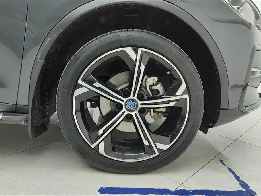 BYD Tang New Energy 2021 DM-i 112KM Premium фото 6