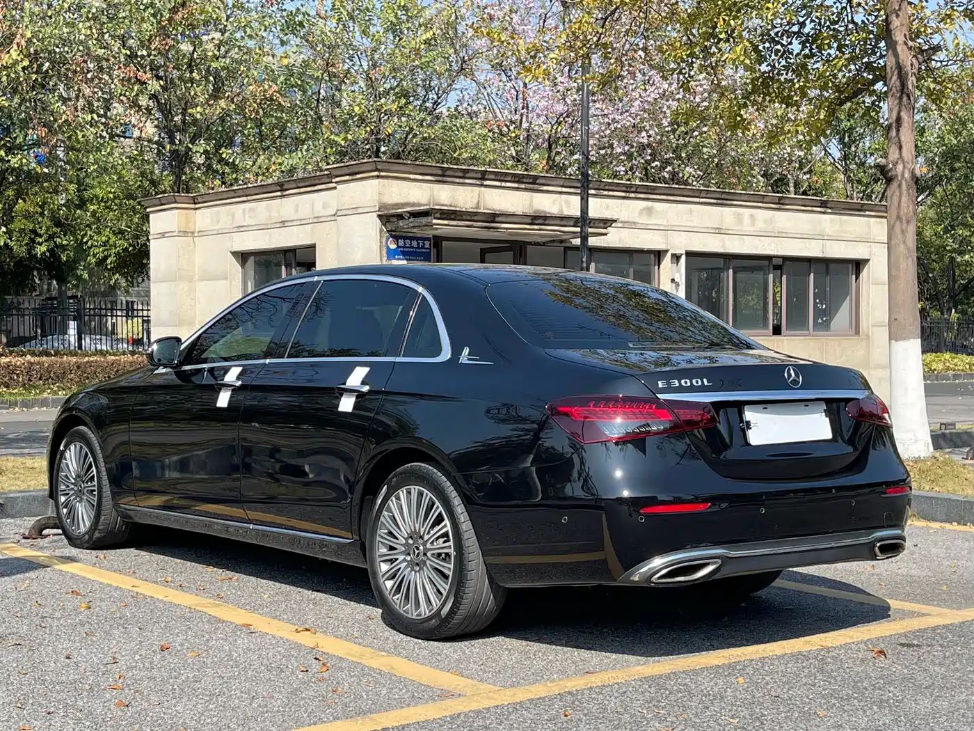 Mercedes-Benz E-Class 2022 Second Facelift E 300 L Luxury фото 6