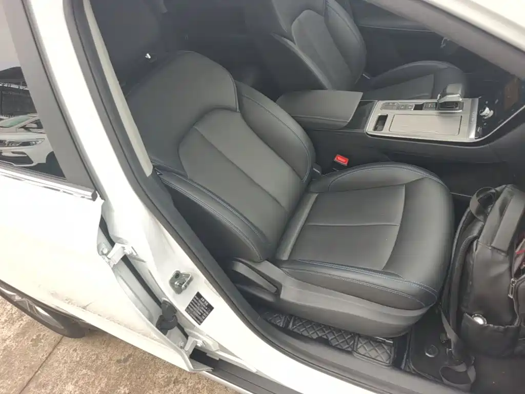 Фото 25 - Roewe RX5