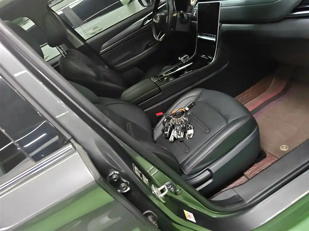 GAC Trumpchi Trumpchi GS4 PLUS 2021 270T Automatic Starlight Edition фото 15