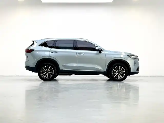 Haval H6 2022 3rd Gen 1.5T Auto 2WD Pro фото 8