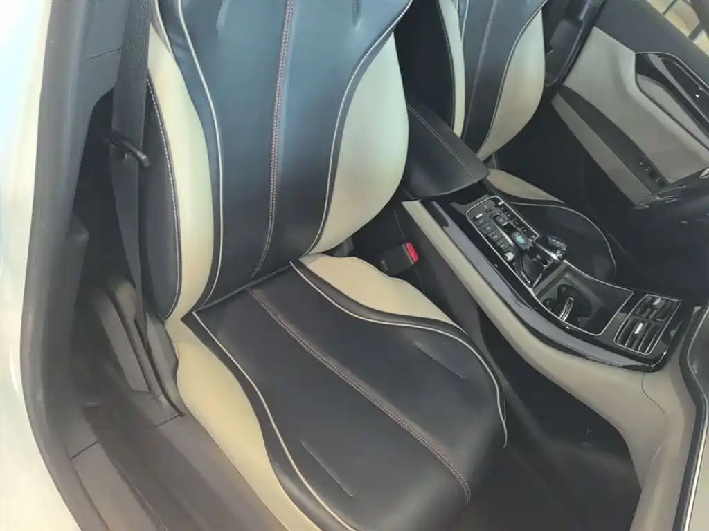 BYD Qin PLUS 2021 EV 400KM Luxury Model фото 25