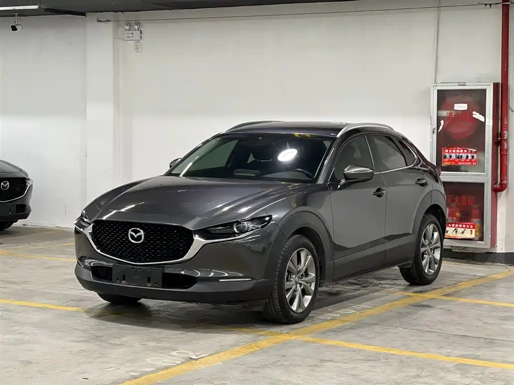  CX 30