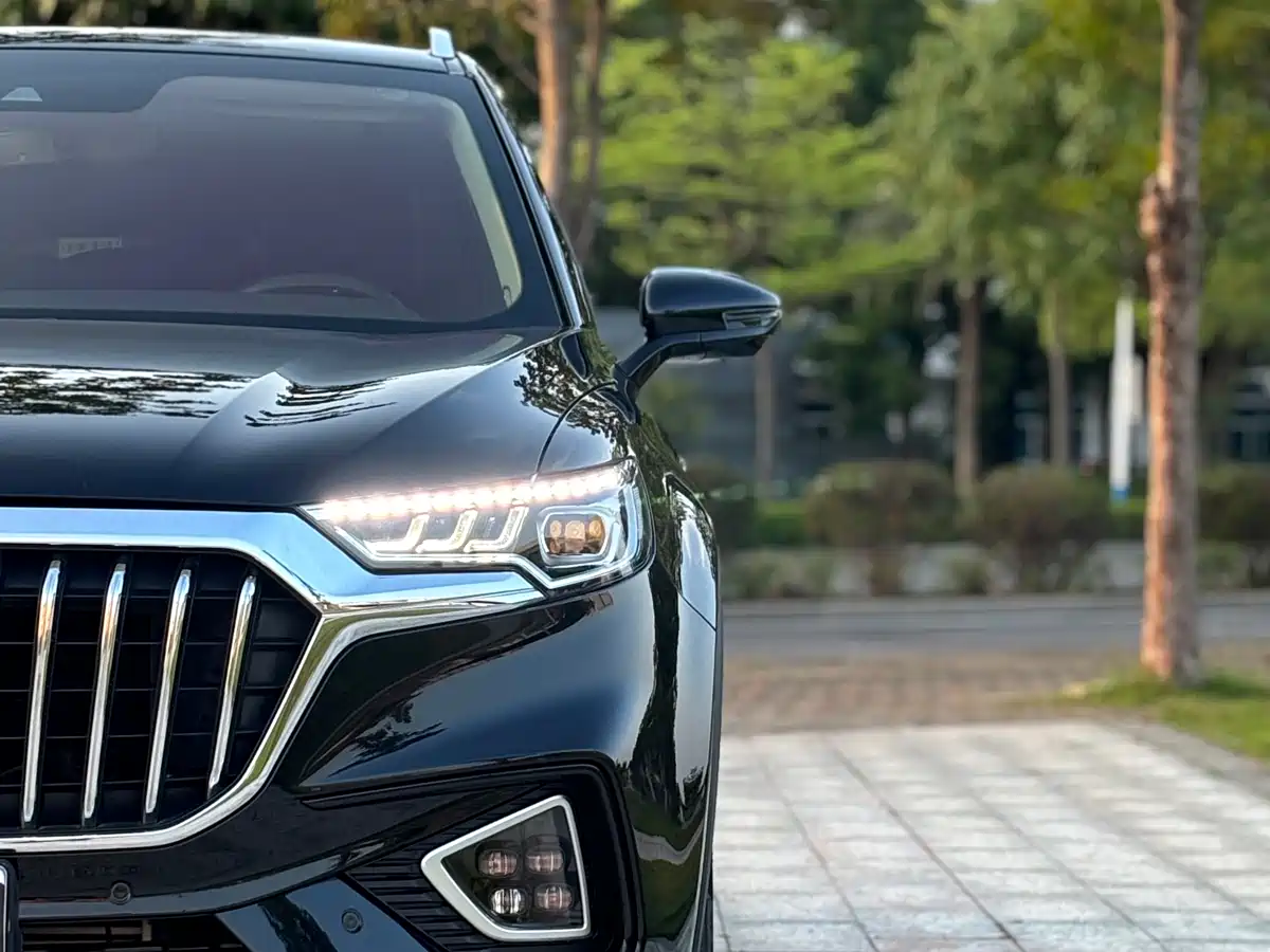 Hongqi HS5 2019 2.0T Smart Connect Enjoy 4WD Edition фото 7