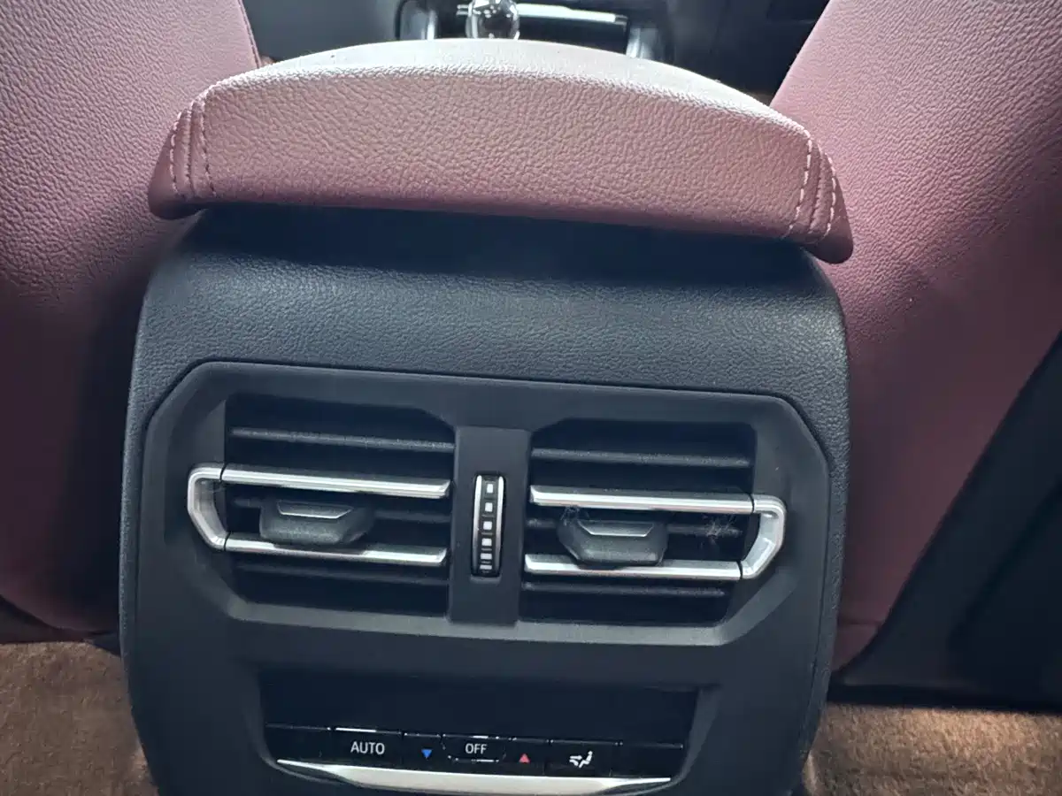 BMW 3 Series 2022 320Li M Sport Package фото 20