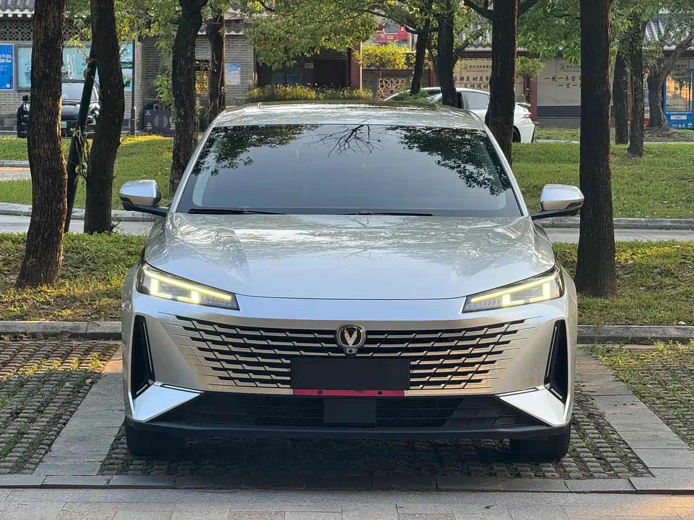 Changan Yida 2023 2023 Blue Whale NE 1.5T GDI DCT Pilot