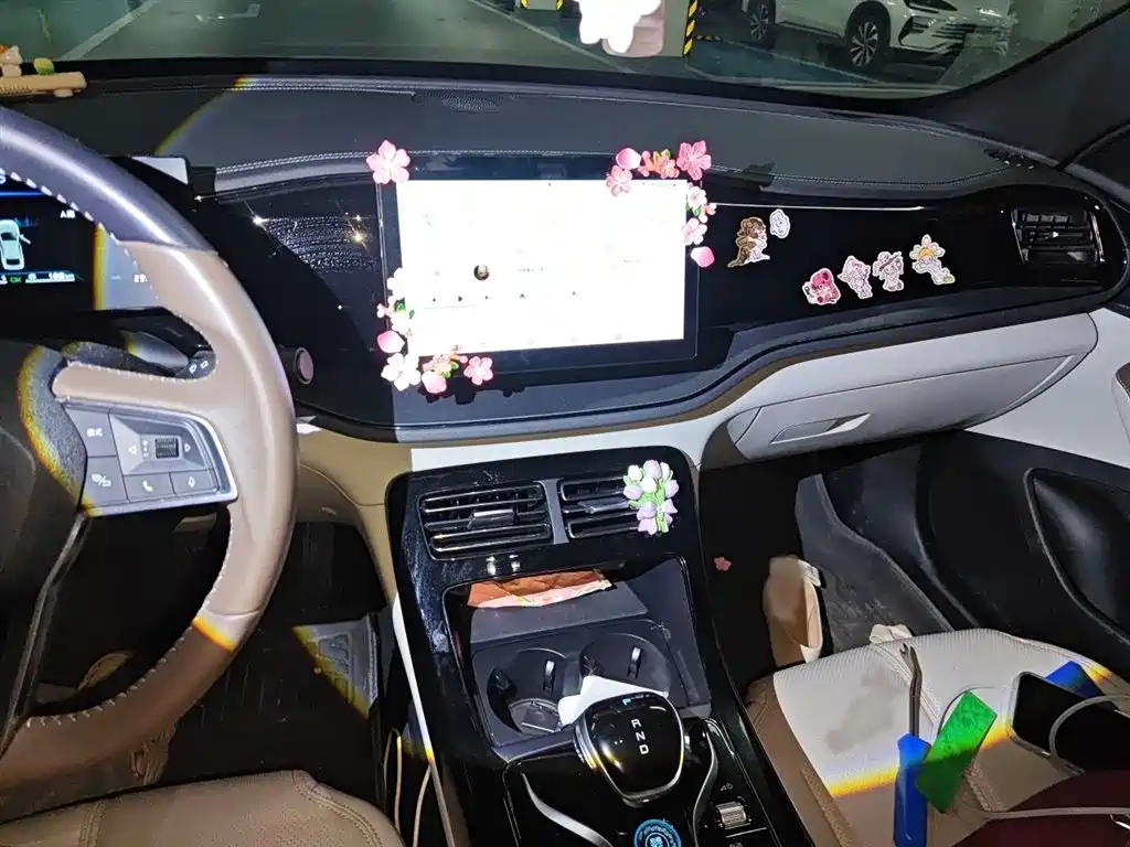 BYD Qin PLUS 2024 Glory Edition DM-i 55KM Leading фото 6