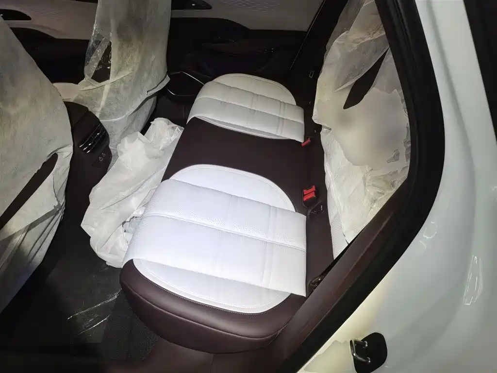 Hongqi EH7 2024 640 Pro+ AWD Edition фото 17