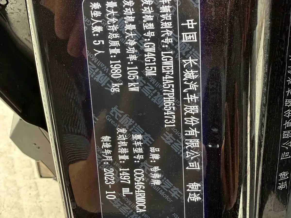 Haval H6 2023 National Trend Edition 1.5T Automatic Champion фото 19
