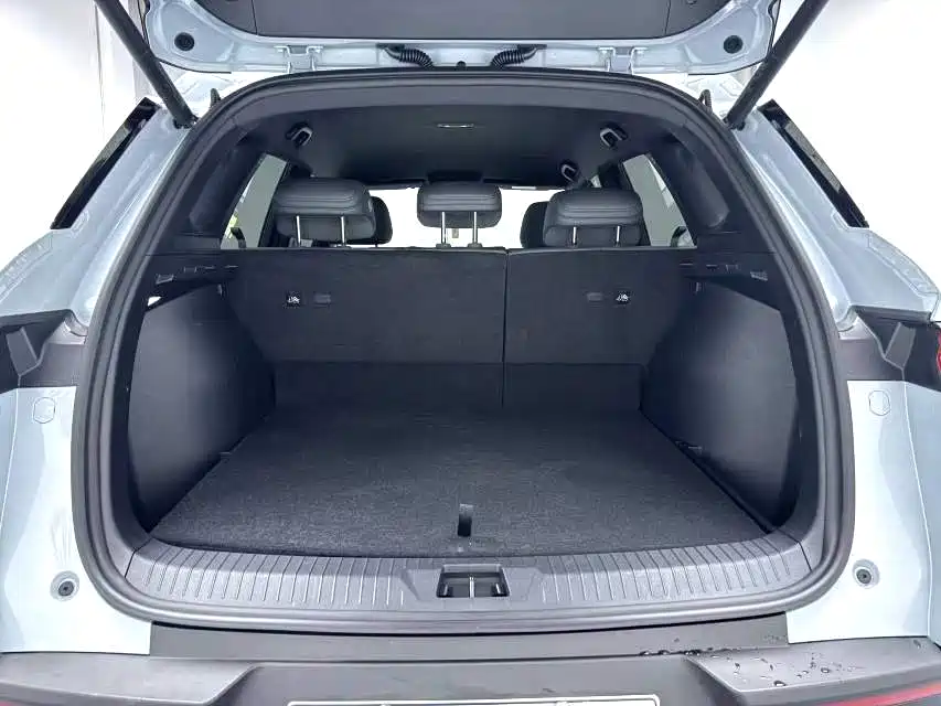 BYD SONGJIANG NEW ENERGY