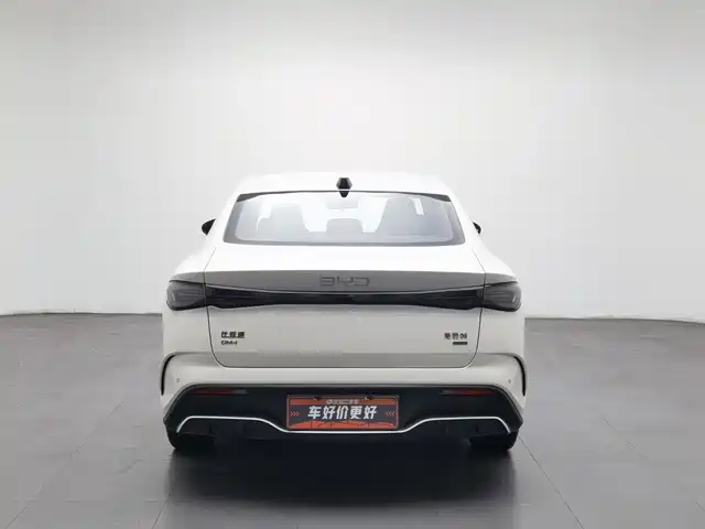 BYD Seal 06 New Energy 2025 DM-i Smart Drive 80KM Luxury — фото 4