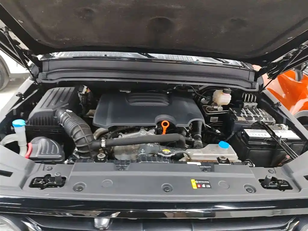 Tank 300 2021 Off-road Edition 2.0T Challenger фото 20