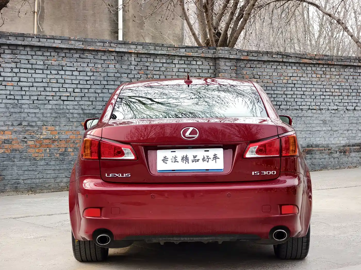 Lexus IS 2009 300 Dynamic Edition фото 9