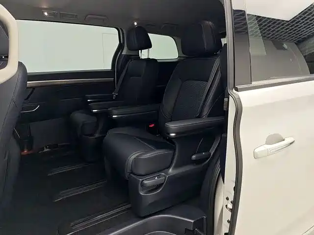 GAC Trumpchi Trumpchi M8 2024 Leadershow Series 390T Luxury Edition фото 15