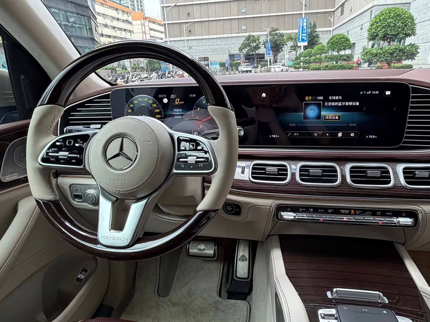 Mercedes-Benz Maybach GLS 2022 GLS 480 4MATIC фото 14