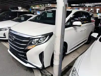Trumpchi M8