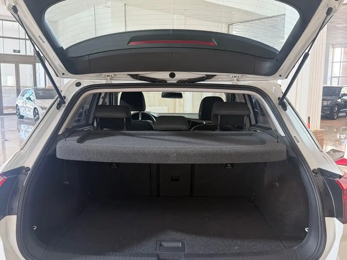 Volkswagen T-ROC 2021 280TSI DSG 2WD Comfort Connected фото 16