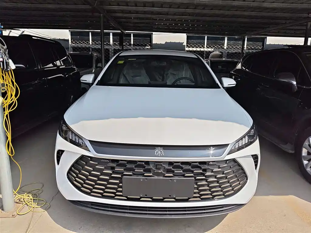 BYD Qin PLUS 2026 DM-i Smart Edition 128KM Progressive фото 3