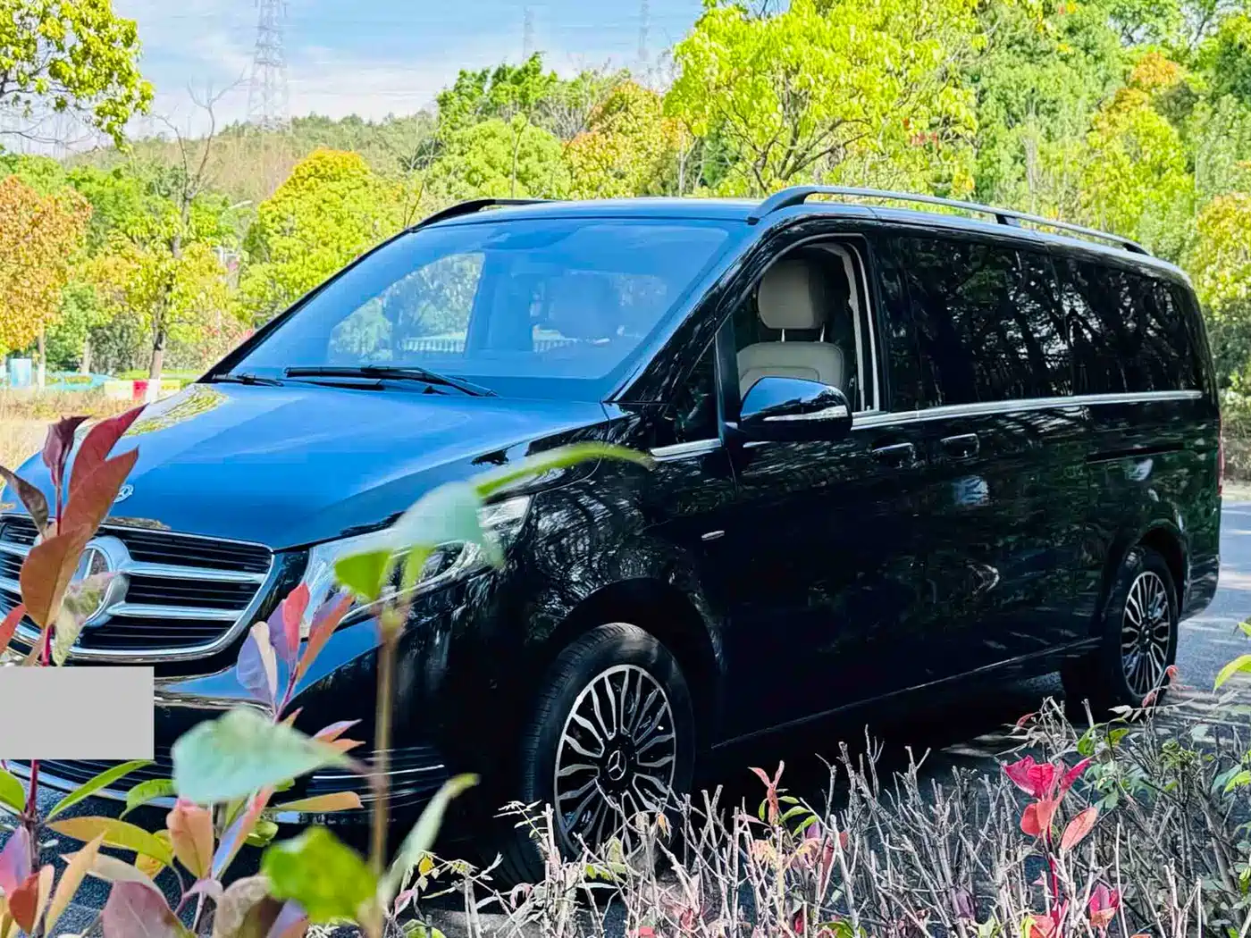 Mercedes-Benz V-Class 2017 Model V 260 L Premium Extended Edition