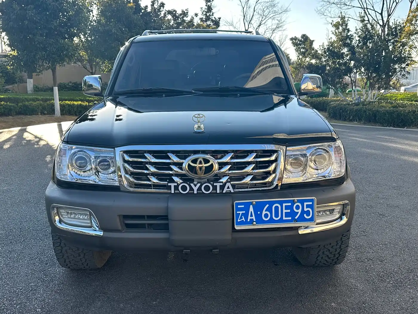 Toyota Land Cruiser (Import) фото 2
