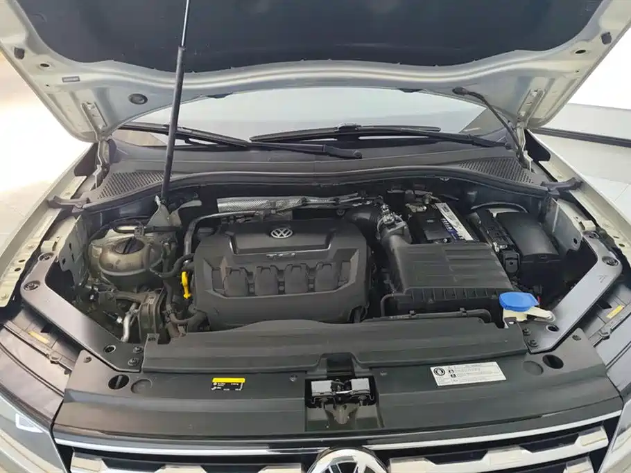 Volkswagen Tiguan L 2019 330TSI Automatic 2WD Smart Luxury Edition China VI фото 10