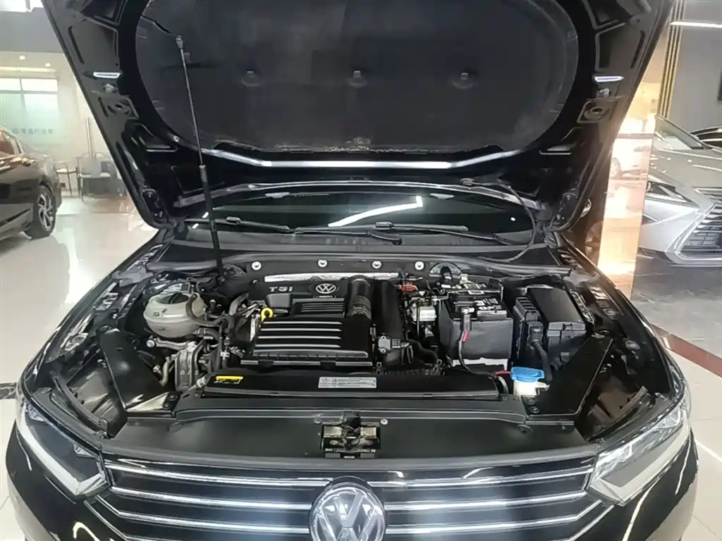 Volkswagen Magotan 2018 280TSI DSG Leading фото 20