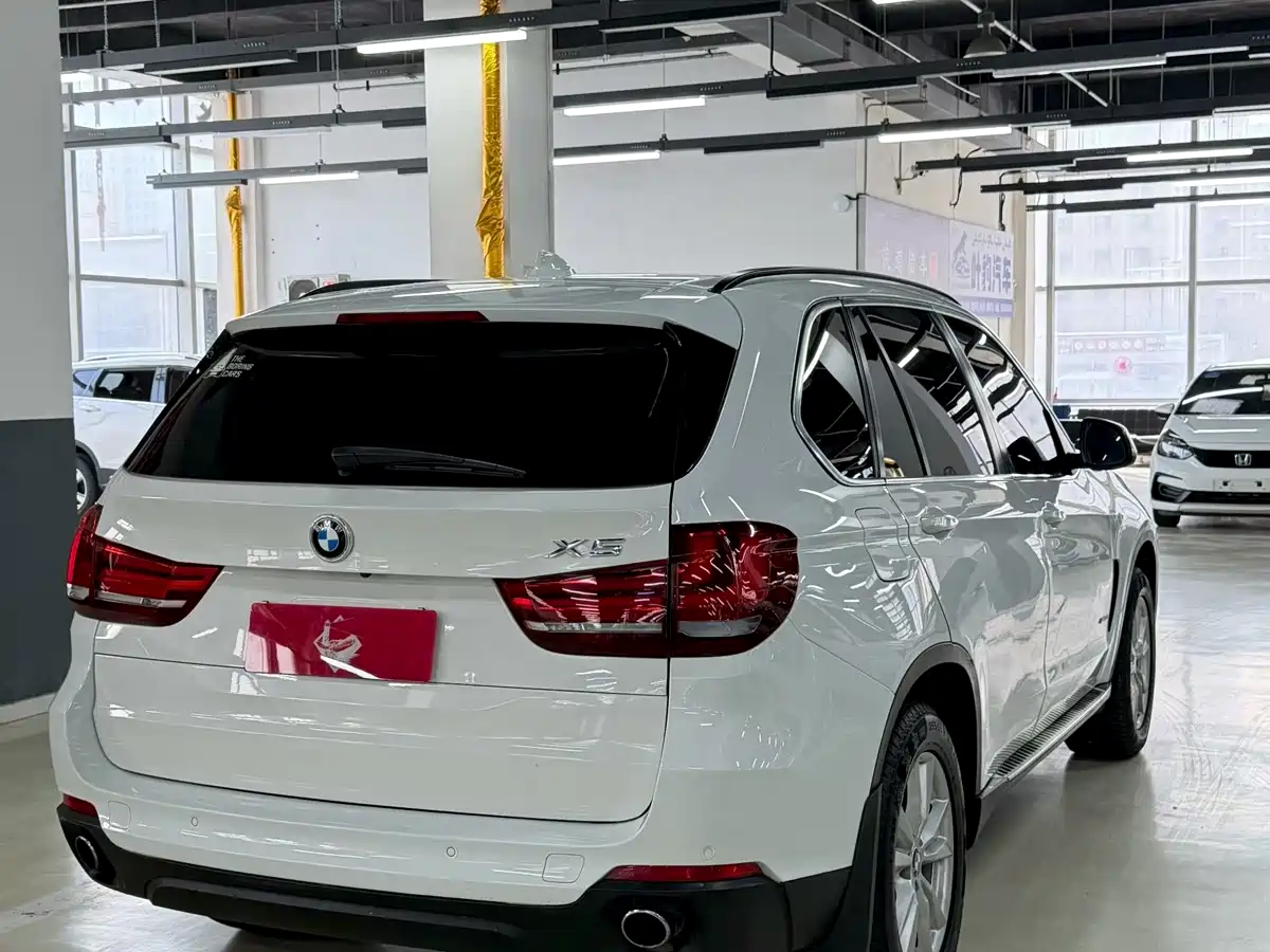 BMW X5 (Import) 2014 xDrive35i Elegance фото 9