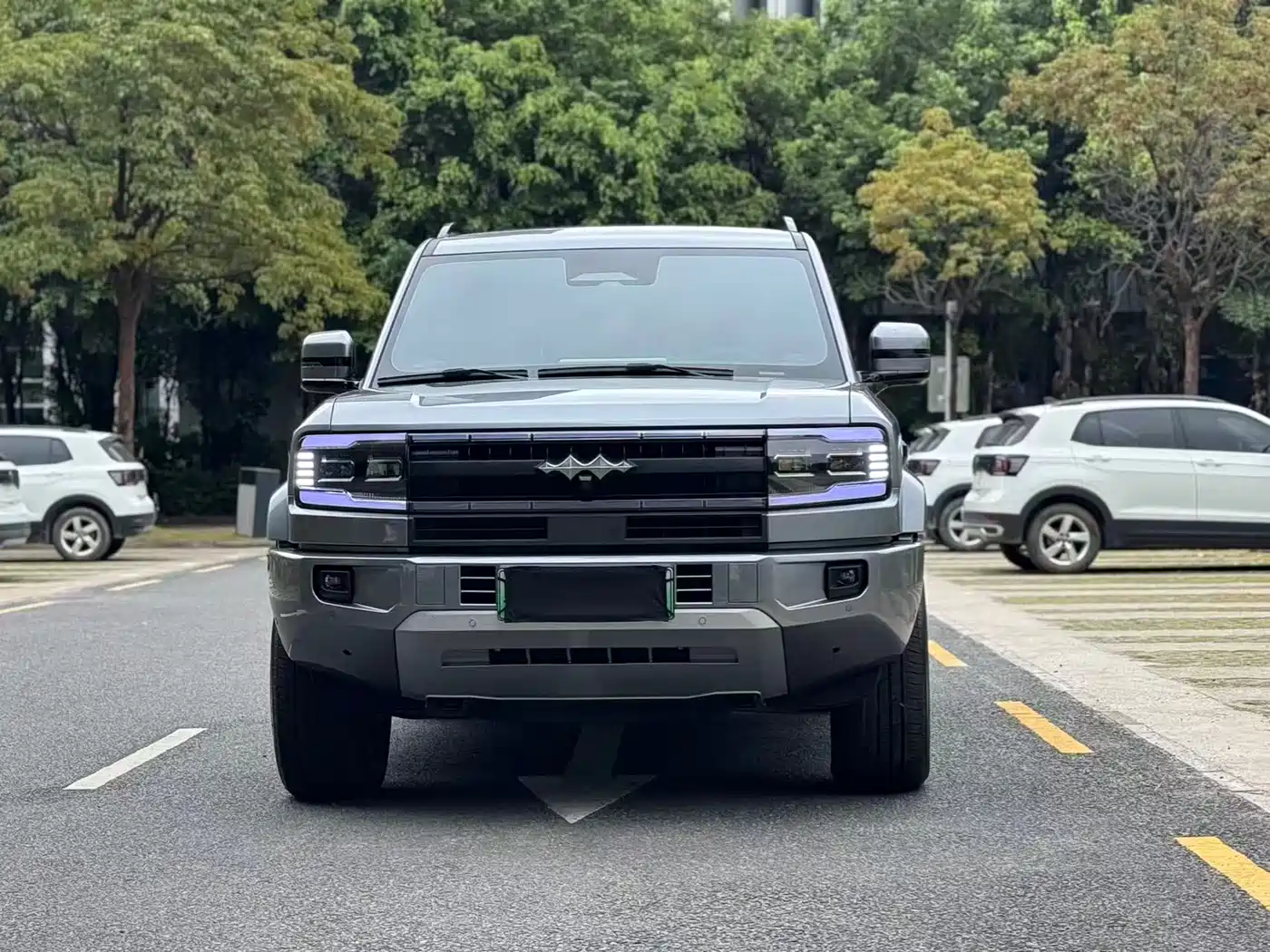 FANG CHENG BAO LEOPARD 5