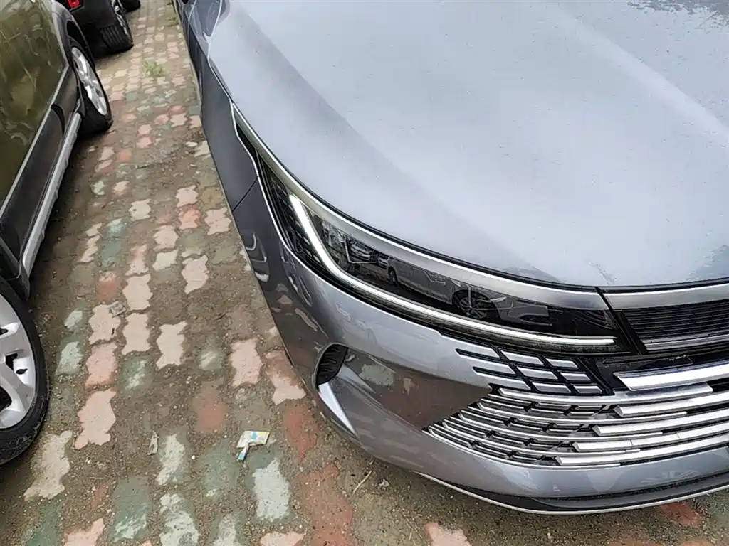 BYD Destroyer 05 2024 Glory Edition DM-i 55KM Luxury фото 13