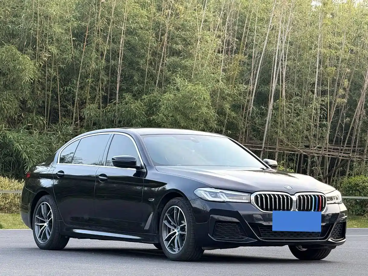 BMW 5 Series New Energy 2022 535Le M Sport Package фото 3