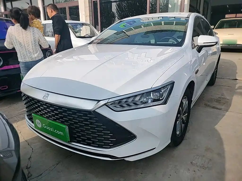 BYD Qin PLUS 2024 Glory Edition DM-i 55KM Leading фото 3
