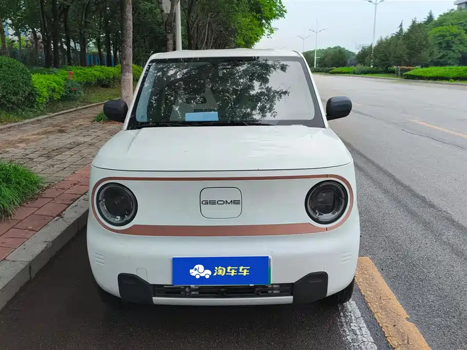 Geely Galaxy Panda 2024 Panda mini 200km Endurance Bear фото 2