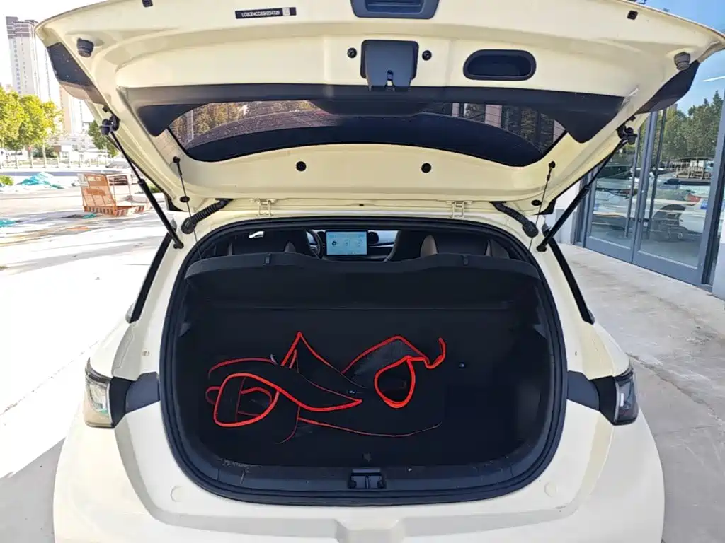 BYD Dolphin 2026 2025 420km Freedom Edition
