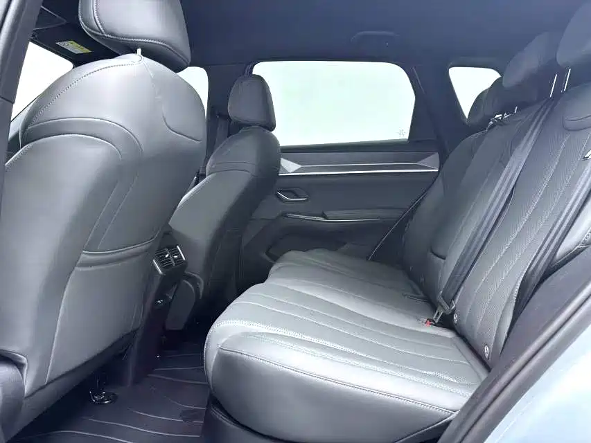 BYD SONGJIANG NEW ENERGY