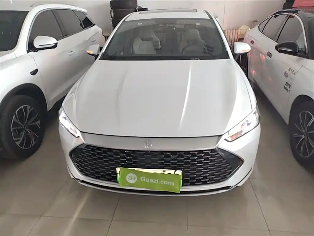 BYD Qin PLUS 2023 Champion Edition DM-i 120KM Leading Type фото 3