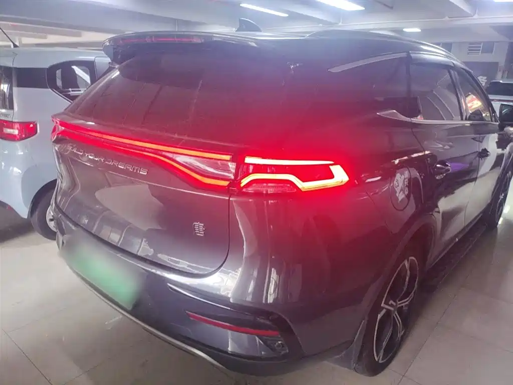 BYD Tang New Energy 2021 DM-i 112KM Premium фото 7
