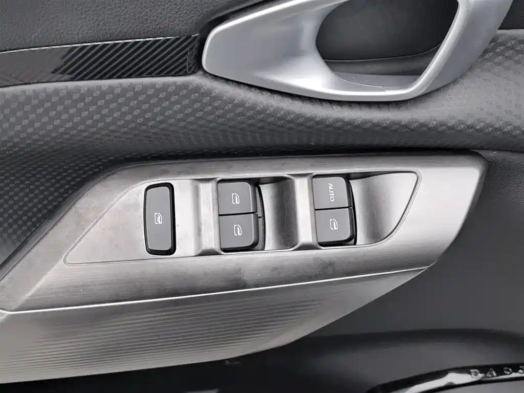 Baojun Valli 2021 1.5T Yili Ranch CVT Luxury фото 9
